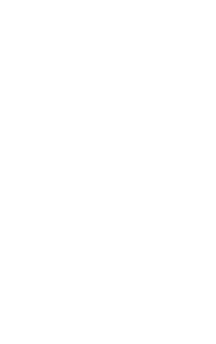 VENDA flame emblem in white